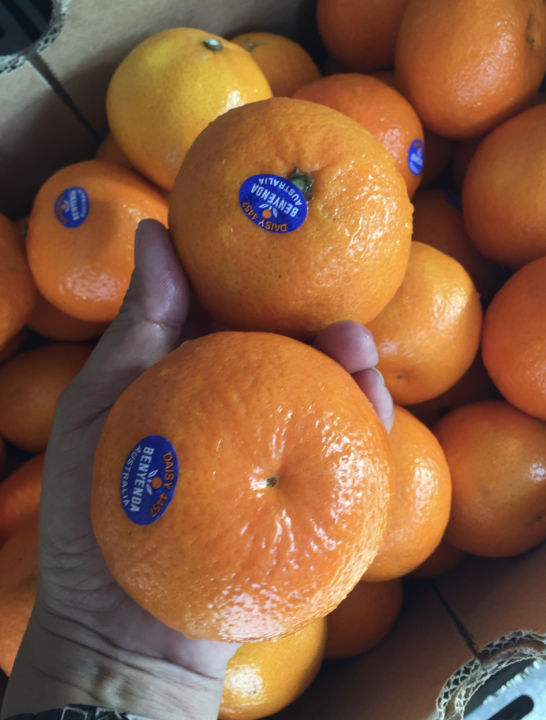 ส้ม-ส้มแมนดาริน-ออสเตรเลีย-ตรา-benyenda-54-56-ลูก-ลัง-นำเข้าจากออสเตรเลีย-น้ำหนักชั่งรวมลังประมาณ-9-กิโลกรัม