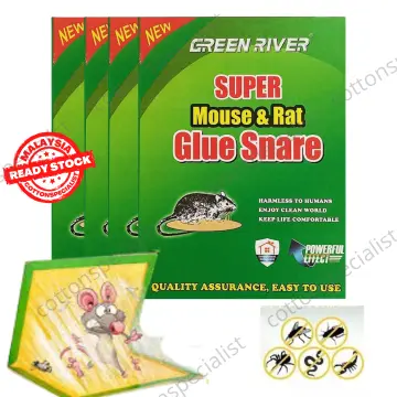 DAHAO MOUSE AND RAT GLUE TRAPS (GREEN) HOUSEHOLD SUPPLIES STRONG STICKY GLUE  KILLING MOUSE BOARD