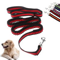 120cm Dog Walking Elastic Bungee Leash Hand Free Dogs Leashes With Handle Puppy Collar Outdoor Pet Safe Running Training Leads Leashes