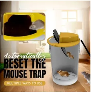 6pcs Plastic Mousetrap Mousetrap Rat Pest Killer Rat Mousetrap Rodent  Mousetrap Fully Automatic Mouse Trap Rat Killer Poison - Traps - AliExpress