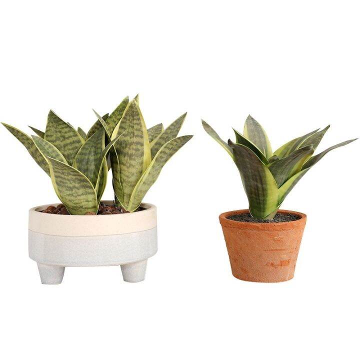 fake-desert-plants-artificial-flower-sansevieria-trifasciata-simulation-succulent-agave-plant-home-office-shop-garden-decor