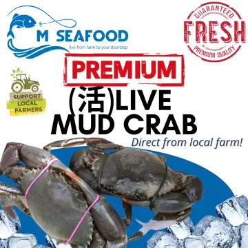 Crab Lure - Best Price in Singapore - Apr 2024