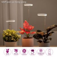 ✐♞โคมไฟ Grow สำหรับการเจริญเติบโตของไฟ Led Phytolamp ในร่ม5V