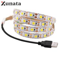 【LZ】✤✢  0.5m 1m 2m 3m 4m 5m DC 5V USB Branco/Branco Morno 60Leds/m Tira Conduzida Luz DC 12V 5050 Luz de Tira Conduzida Flexível