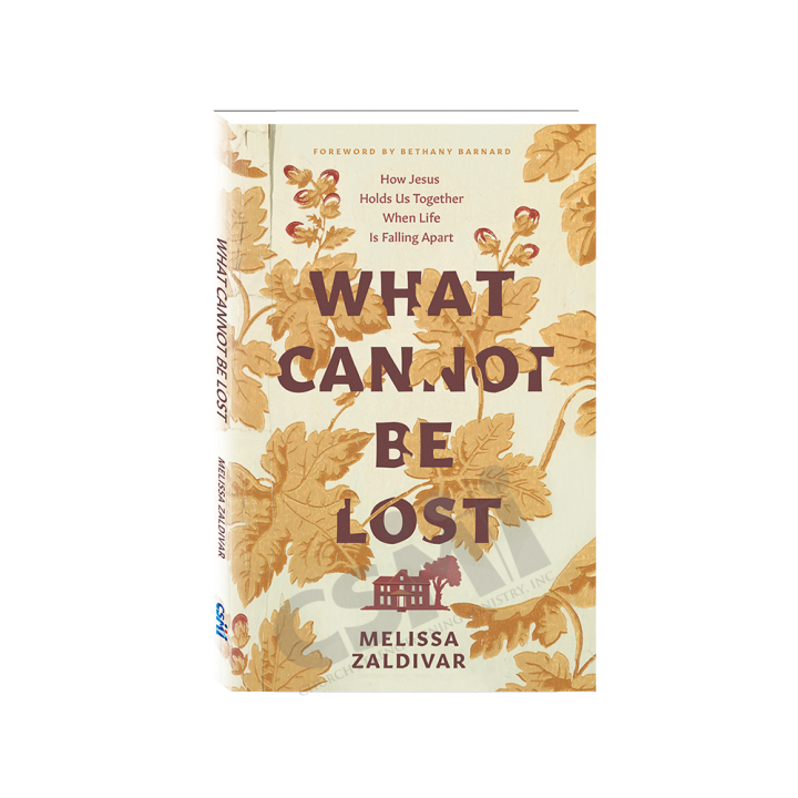 What Cannot Be Lost How Jesus Holds Us Together When Life is Falling
