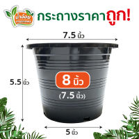 กระถางพลาสติก สีดำ 8 นิ้ว (1ใบ) ขนาดจริง 7.5! ราคาโรงงาน ราคาส่ง | กระถางสวย กระถางสีดำ กระถางต้นไม้ กระถางปลูกต้นไม้