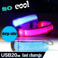 USB LED Dog Collar Pet Light Night Safety Light-up Flashing Glow in the Dark Lighted Cat Collar LED Dog Collars LED USB Recharge