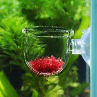 Red Worm Feeder Clear Acrylic Plastic Suction Feeding Cup Fish Tank Shrimp Aquarium Decoration