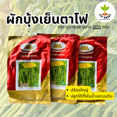 ผักบุ้งเย็นตาโฟ ผักบุ้งแก้ว เมล็ดพันธุ์ผักบุ้ง ตราภูเขาทอง ขนาด 500 กรัม ปล้องใหญ่ ปลูกได้ทั้งในน้ำเเละบนบก