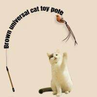 TEXCat Supplies Simulated Birds Interactive Cat Toys Funny Feather Birds and Clock Cat Stick Kitten Toys