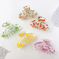 2022 Fashion New Geometry Fruit Series Hairpins Accessories Butterfly Acrylic Large Crab Hair Claw Clips For Women Girls Gift