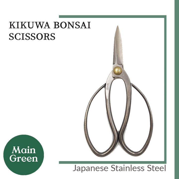 Kikuwa Bonsai Scissors Japanese Stainless Steel, Pruning and Shears Bonsai and Garden Tools Made