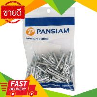 ⚡ลดราคา⚡ ตะปูคอนกรีตขาว 1นิ้ว PAN SIAM รุ่น CN-10 ขนาด 1 นิ้ว (แพ็ค 0.5กก.) ตะปู Flash Sale!!!