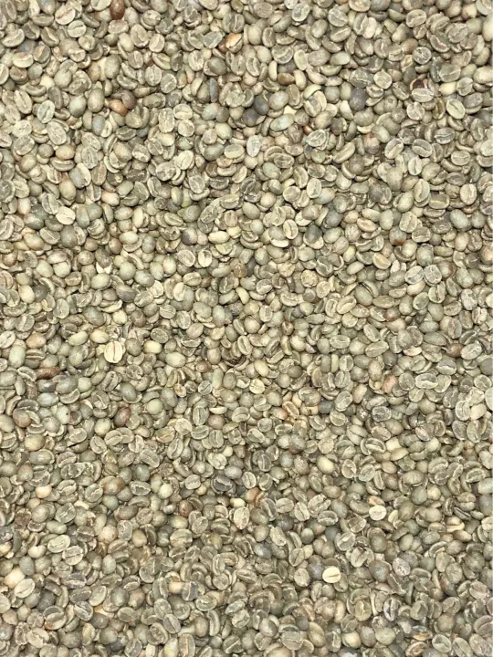 BRAZIL SANTOS Green Raw Coffee Beans Lazada