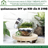 สวนในขวดแก้ว ชุดจัดสวนขวด DIY ชุด KIT เซ็ท B 219 บาท