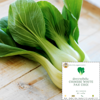 เมล็ดผักกวางตุ้งจีน (White Chinese Pak Choi) ฟาร์ม26 อัตรางอก85-90% เมล็ดพันธุ์ผัก