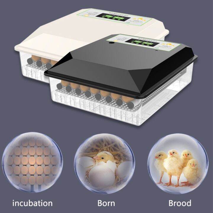 The cheapest 56 egg incubator automatic with hatcher Fully Automatic