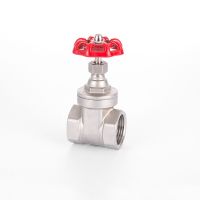 DN15-50 1/2" 3/4" 1" 1-1/4" 1-1/2" 2" BSPT Female Gate Valve 304 Stainless Steel Water Gas Oil Home Garden Plumbing Valves