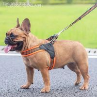 ○ No Pull Pet Dog Harness and Leash Set Adjustable Puppy Cat Harness Vest Reflective Walking Lead Leash For Small Medium Dogs