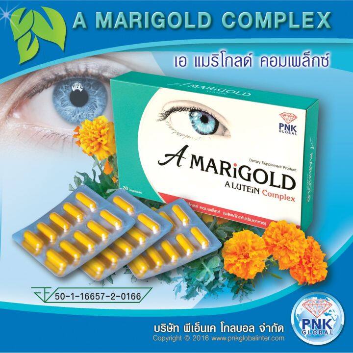 a-marigolg-complex-เอ-แมริโกลด์-คอมแพล็กซ์