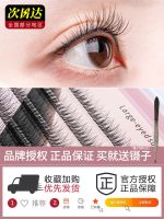 AKK female natural simulation false eyelash grafting barbie sandwich model of single cluster fairy tail MAO super soft adhesive eyelashes