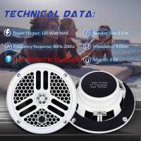 Main Speaker Marine Waterproof Speaker Boat Outdoor Speakers RV Modified Speakers SPA Pool ATV Golf Cart Yacht Motorcycle Jet Ski