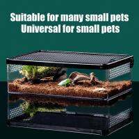 กล่องให้อาหารสัตว์เลื้อยคลานระบายอากาศโปร่งใสฟักไข่ Anti Escape Terrarium Cage Case Airtight Safe House สำหรับด้วงจิ้งจก