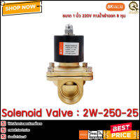 Solenoid Valve BK 2W-250-25,220V  TH