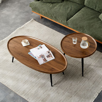 Minimalist Modern Oval Coffee Table