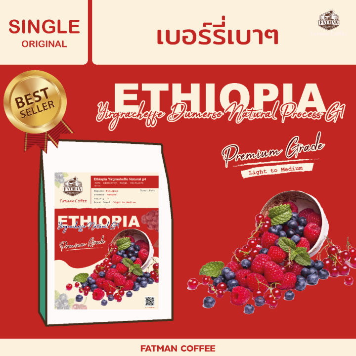 เมล็ดกาแฟ-ethiopia-dumerso-g1-light-to-medium-roasted-premium-grade