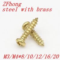 100pcs/lot M3  M4 steel with brass phillips pan head tapping screw Nails Screws  Fasteners