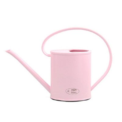 【CC】 Watering Can Bottle 1.2L Capacity Waterer With Spout And Handle