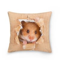 【CW】 Hamster Cushion Cover Papery Pillowcase Throw