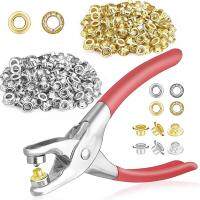 401Pcs 1/4Inch 6Mm Grommet Eyelet Pliers Kit  Grommet Tool Kit With 400 Metal Eyelets In Gold And Silver Eyelet Grommets  Pliers