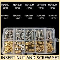 ✱┅ M2 M2.5 M3 M4 M5 M6 Brass Insert Nut and Screw Set Hot Knurled Heat Thread Copper Nuts 304 Stainless Steel Bolt Assortment Kit