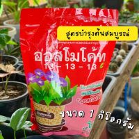 welcome to the store ☆ออสโมโค้ทสูตรบำรุงต้น 13-13-13 ถุงรีฟิวซิปล็อค ขนาด 1 กิโลกรัม☬