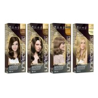 [โทนบลอนด์] Dcash ดีแคช โปรเฟสชันนอล มาสเตอร์ คัลเลอร์ ครีม60g [Blonde Tone] Professional Master Color Cream #ย้อมสีผม