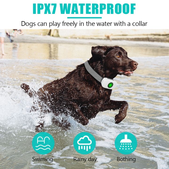 tinmiu-ปลอกคอฝึกหัดไฟฟ้าชาร์จได้-ใหม่รีโมตป้องกันเปลือกปลอกคอสุนัขกับ-ipx7กันน้ำสำหรับสุนัขเล็กกลางใหญ่