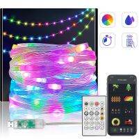 Addressable Music Colorful Christmas Garland Light WS2812B RGB Fairy Lights Xmas Tree Decor Led String USB 5V Bluetooth Festoon