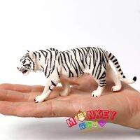 Monkey Toys - โมเดลสัตว์ Tiger เสือโคร่ง เผือก ขนาด 12.30 CM (จากหาดใหญ่)