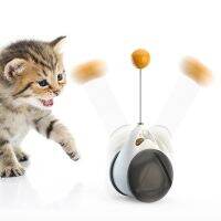 【WNING small pet】ตุ๊กตาล้มลุกอัตโนมัติ,ของเล่นแมวตลกล้อหมุนอัตโนมัติแบบโต้ตอบได้ด้วยไม้แหย่แคทนิปลูกบอลสุนัขแมวเคี้ยว