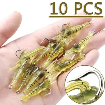 Shop Artificial Bait For Fishing Full Set with great discounts and prices  online - Jan 2024