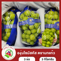 องุ่นไซมัสคัส(Shinemuscat) องุ่นไซมัสคัส ตรานกแก้ว 3 ช่อ หวาน กรอบ ลูกใหญ่ ส่งฟรี