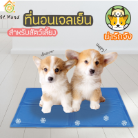 Pet car mat ที่นอนเจลเย็น แผ่นเจลเย็น สำหรับสัตว์เลี้ยง ที่นอนเย็น เบาะนอนเย็น หน้าร้อน สบายจริงๆ（50x70/60x90/30x40/40x50cm）