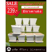 กระถางดินเผาขาวธรรมชาติ3.5x3.5 พร้อมจานรอง ยกโหล