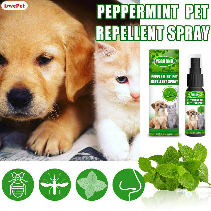 LPH 60ml Spray for Fleas Ticks Mites Nontoxic and Nonallergenic for