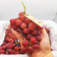 องุ่นแดงไร้เมล็ด นำเข้า (ยกลัง3.5KG) Crimson Red Grape (CHN) ~ลดพิเศษ~ส่งฟรีแช่เย็น~ ขายส่งราคาส่ง องุ่นไร้เมล็ด องุ่นคิมสัน องุ่นคริมสัน องุ่นกิมสัน