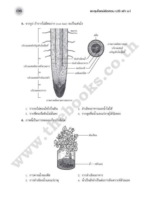 หนังสือตะลุยโจทย์ข้อสอบ-ป-6-เข้า-ม-1-โรงเรียนที่มีอัตราการแข่งขันสูง