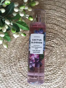 Cactus blossom online mist