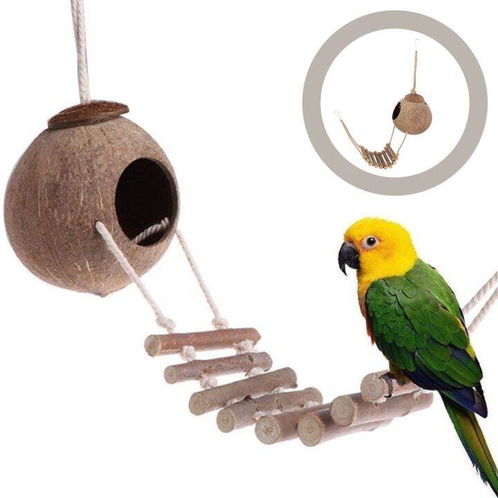 Reptile Fogger Crested Gecko Tank Hide Coconut Hide Reptiles Hermit